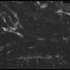 Publication thumbnail
