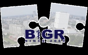 Auto-kNN: Brain Tissue Segmentation using Automatically Trained k-Nearest-Neighbor Classification