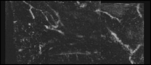 Using TubeTK to Automatically Merge Volumes