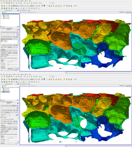Providing values of adjacent voxel with vtkDiscreteMarchingCubes